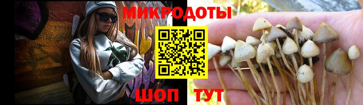 Галлюциногенные грибы мухоморы Электросталь